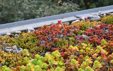 the cost of Chiselhampton green roof installation