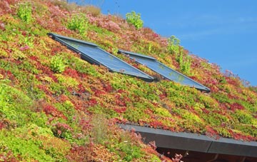 Chiselhampton living roof systems