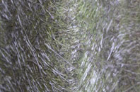 Chiselhampton fibreglass roof work